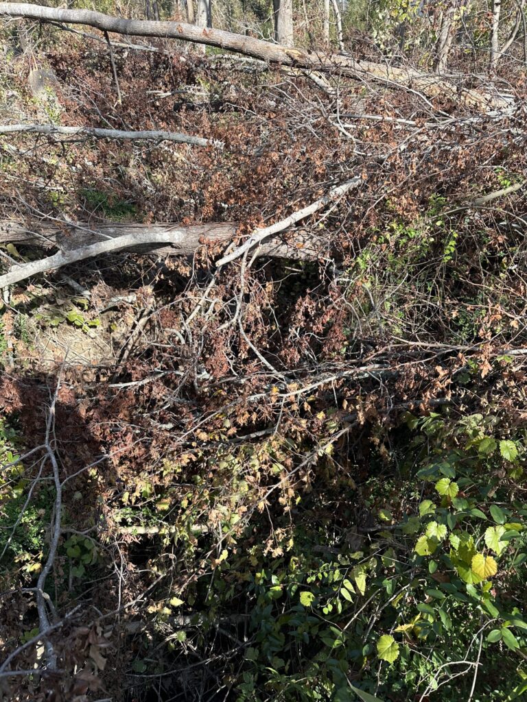 Timberstone Tree Service (27)