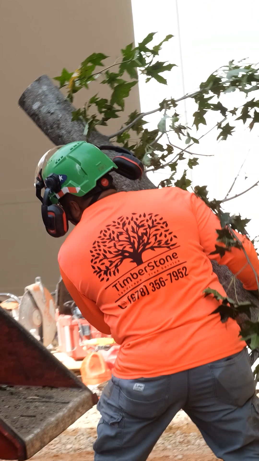 Climber from behind in orange Timberstone long-sleeve with tree logo and phone printed on the back, green helmet with face shield and ear defenders, handling a cut limb