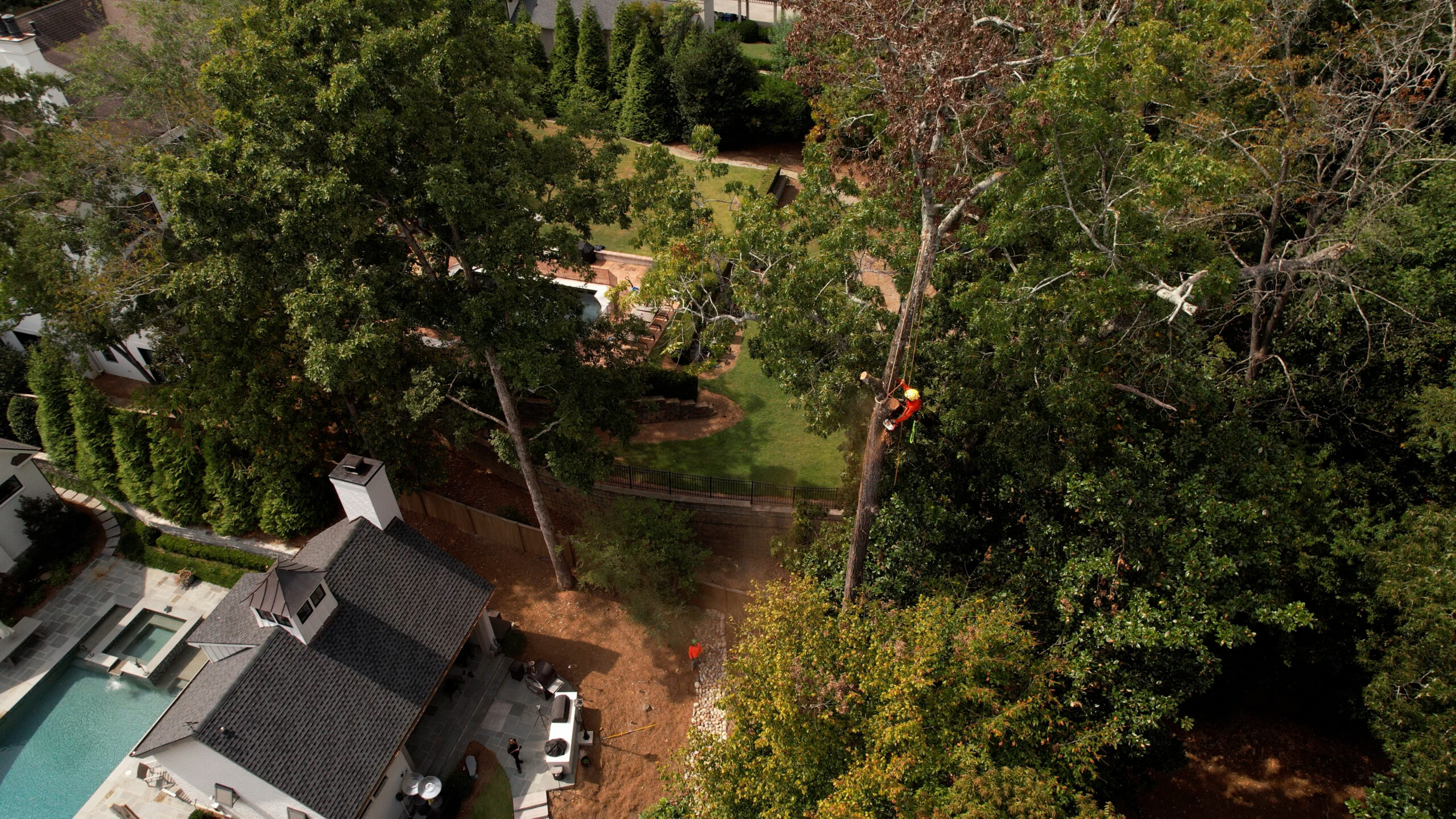 Wide aerial of a climber working over a cleared red-clay yard beside a pool house and mature canopy