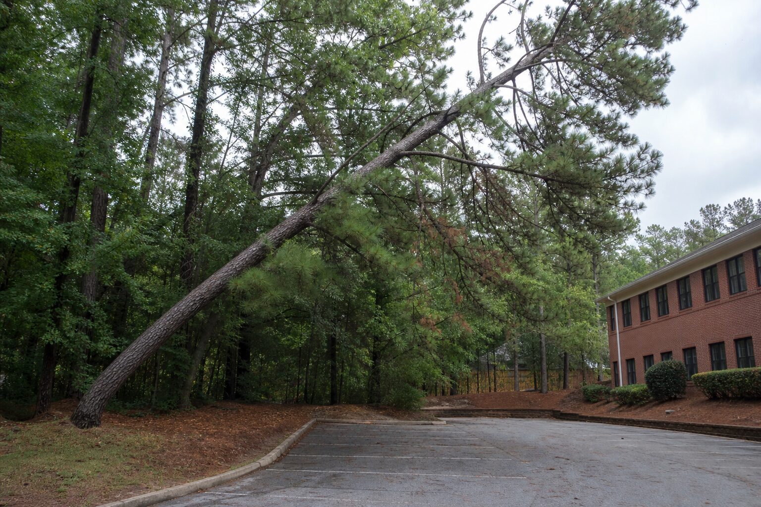 Before: commercial hoa work begins