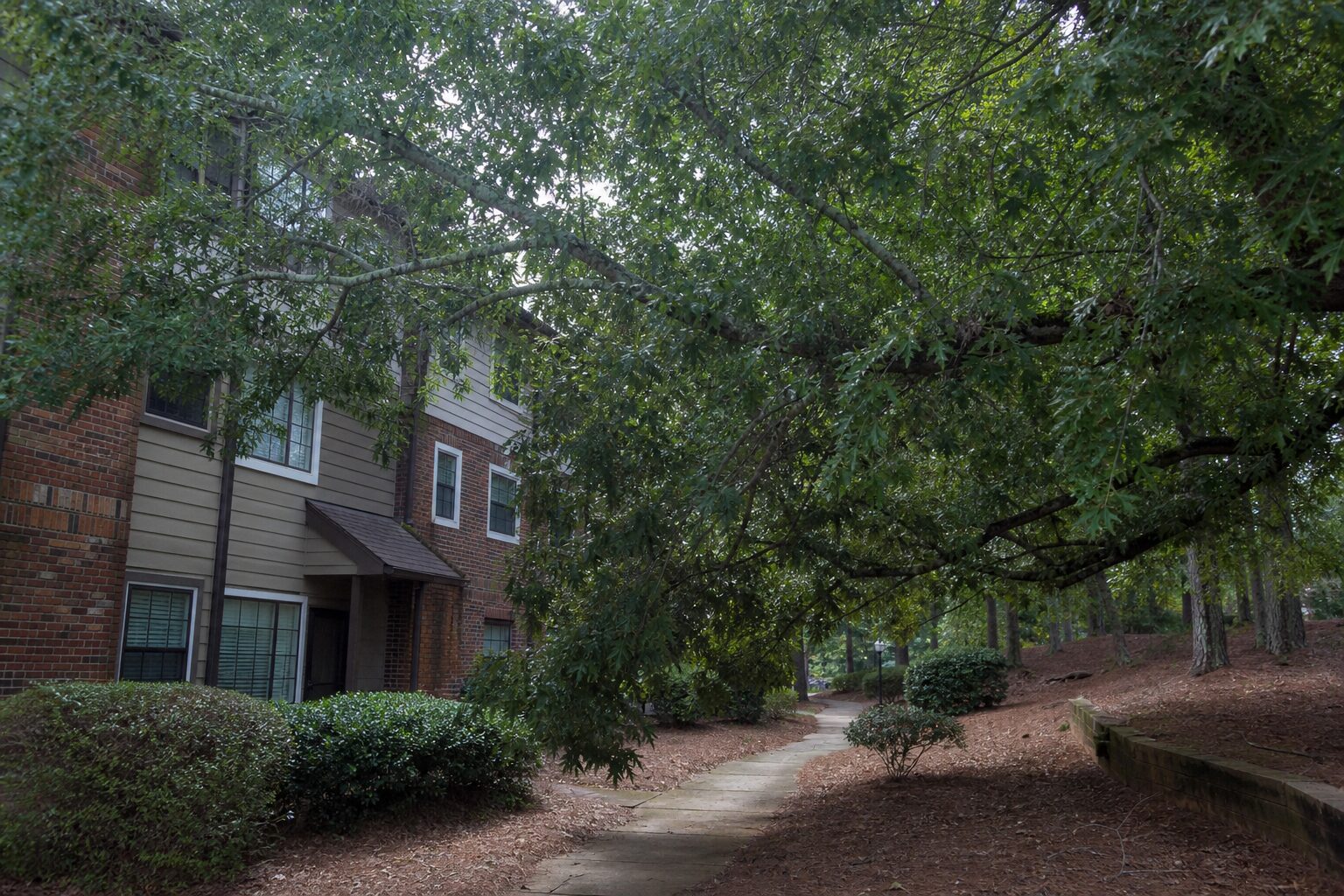 Before: commercial hoa work begins