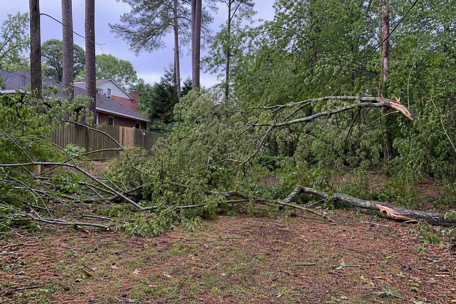 Before: debris cleanup work begins