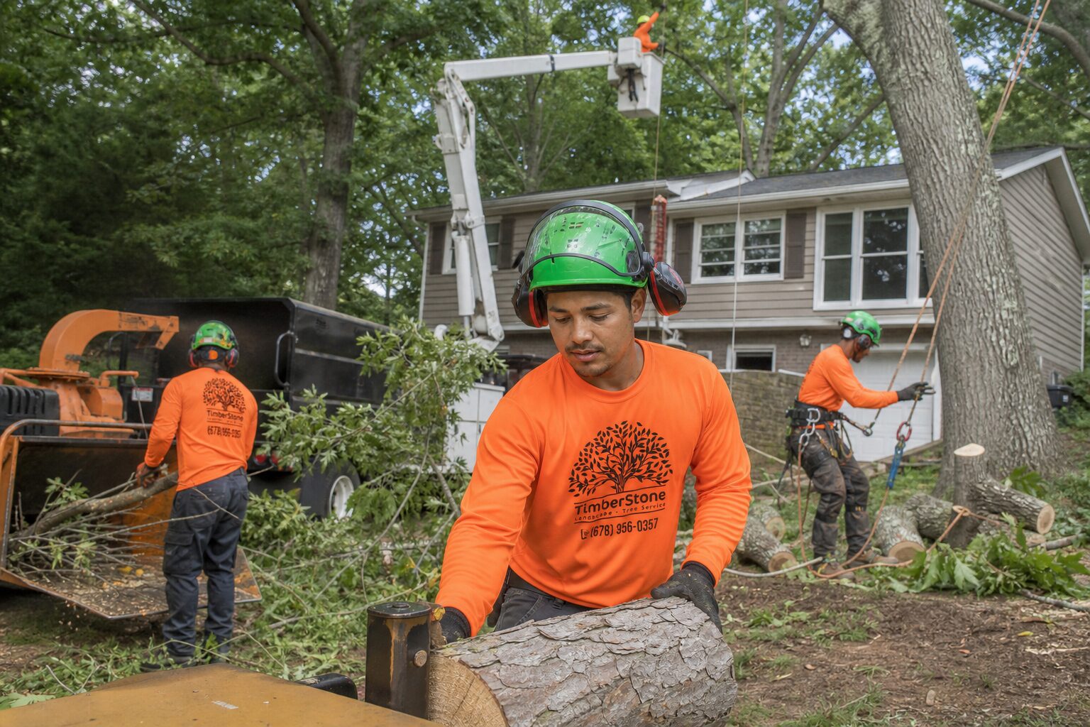 Debris Removal & Cleanup work by Timberstone Tree Service in Metro Atlanta