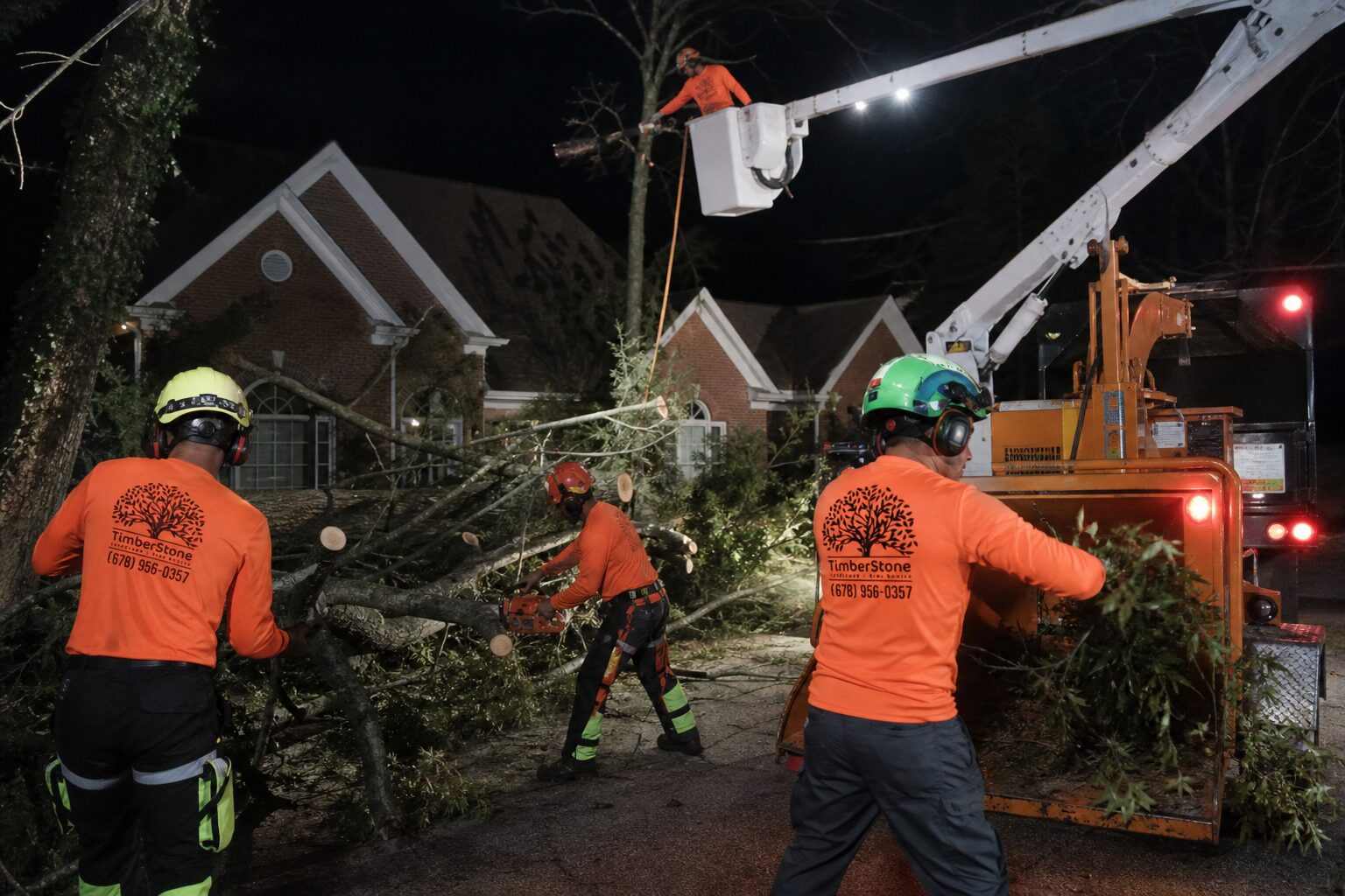 Making the Call on Emergency vs Scheduled Tree Work in Alpharetta