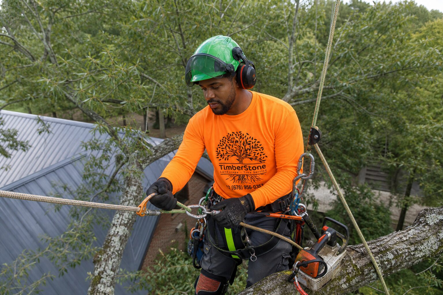 Crane & Technical Removal work by Timberstone Tree Service in Metro Atlanta