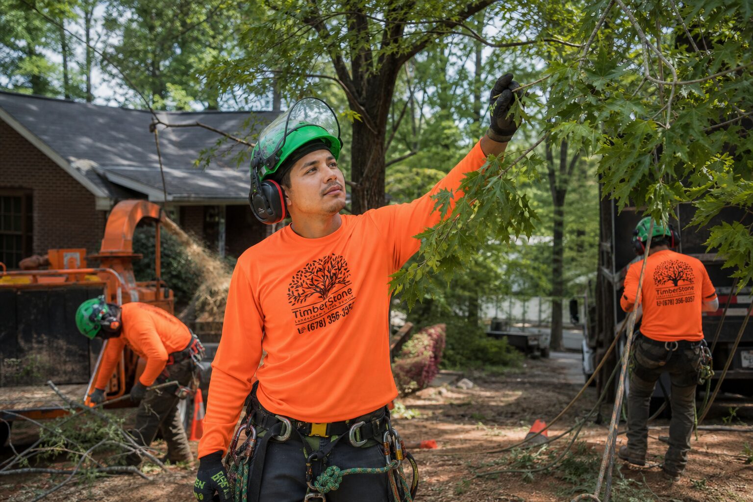 Tree Health & Disease Care in Metro Atlanta by Timberstone Tree Service