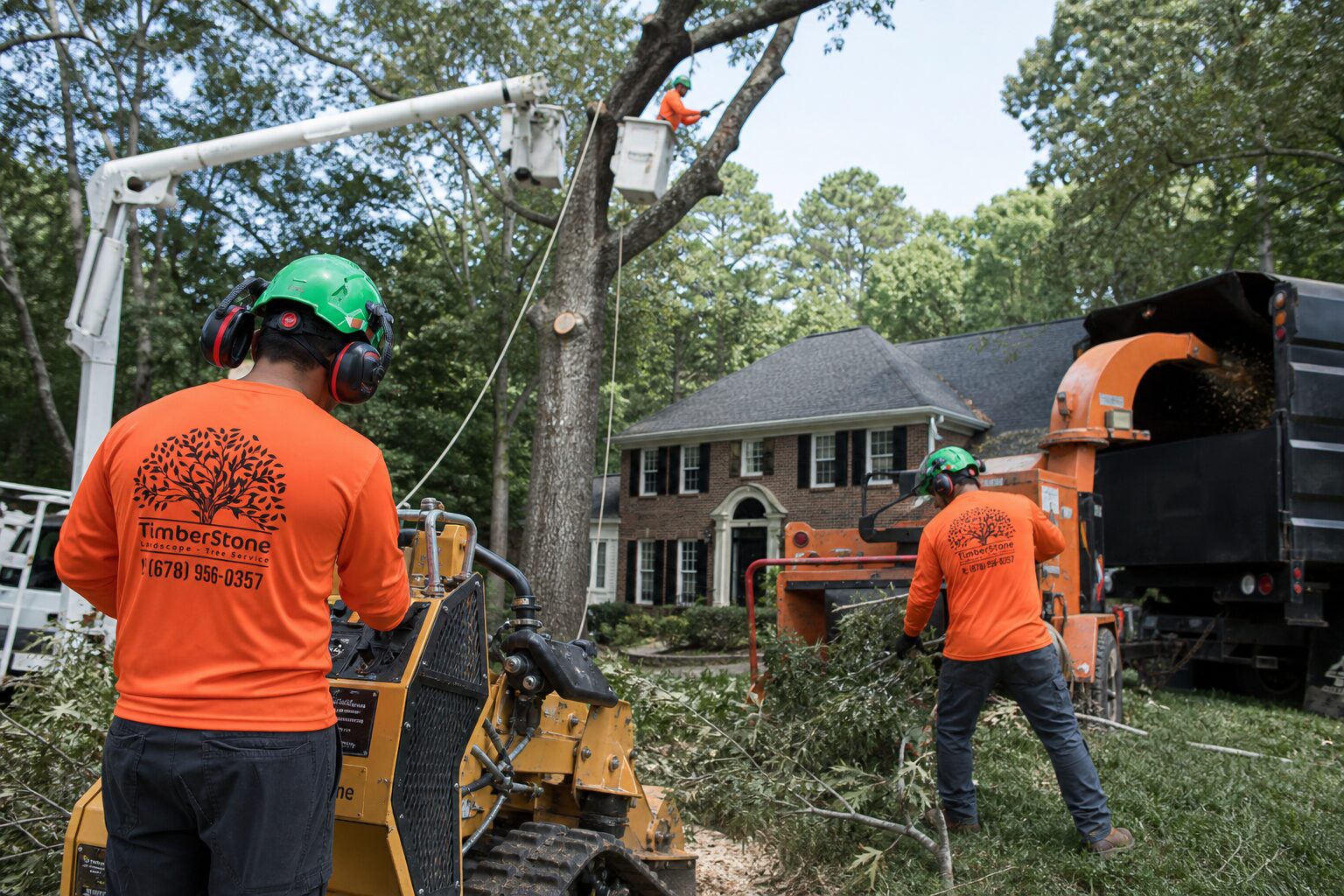 Tree Removal in Metro Atlanta by Timberstone Tree Service