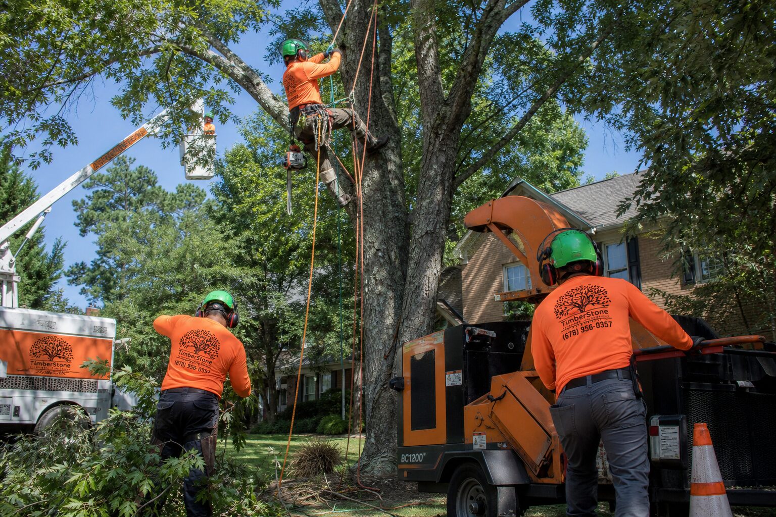 Tree Trimming & Pruning in Metro Atlanta by Timberstone Tree Service