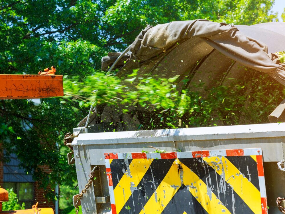 Chipper wood machine releasing the shredded woods into a truck to remove